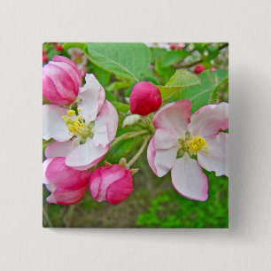 Apple Blossom Time 2 Inch Square Button