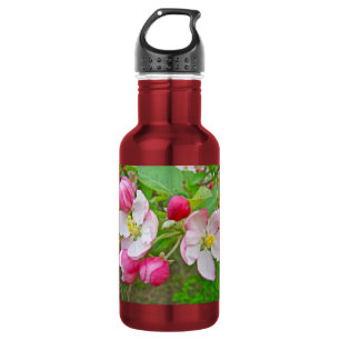 Apple Blossom Time 532 Ml Water Bottle