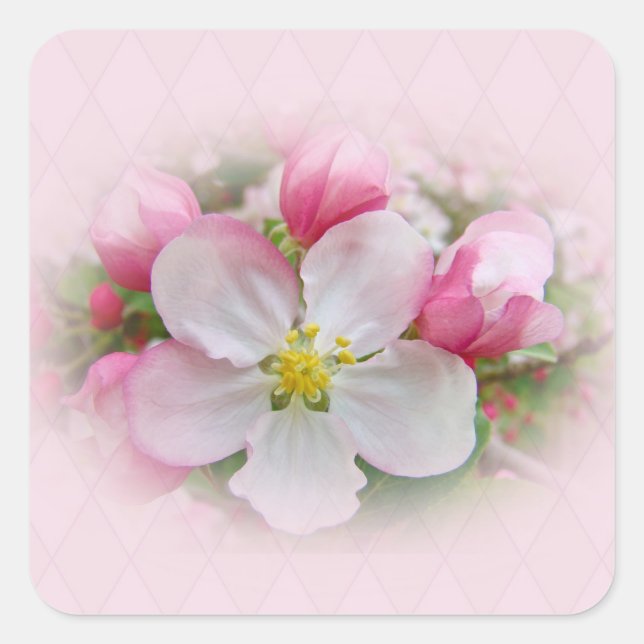 Apple Blossom Time Square Sticker (Front)