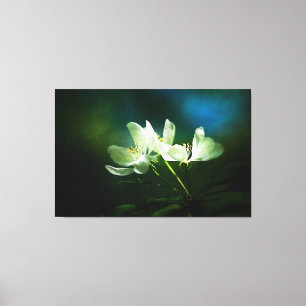 Apple Blossom - Two Flowers Canvas Print