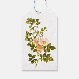 Apple Blossom Watercolor Stems Wedding Gift Tags