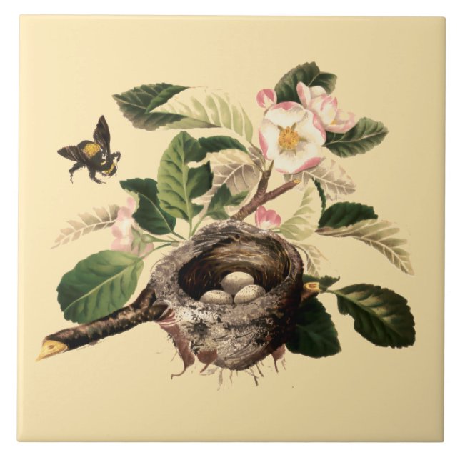 Apple Blossoms and Bird's Nest Tile (Front)