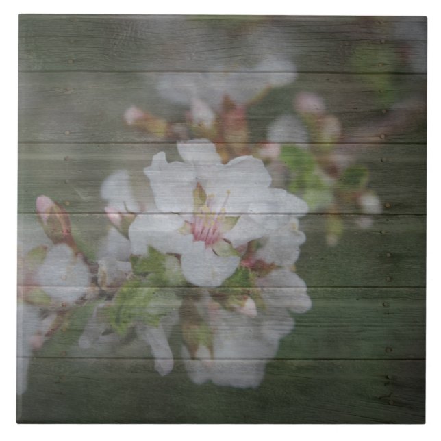 Apple Blossoms and Weathered Wood Tile (Front)