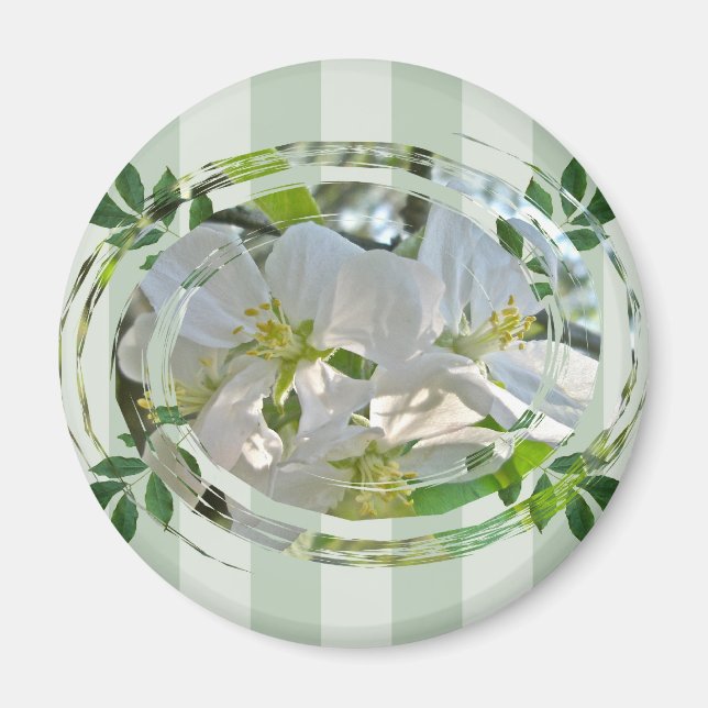 Apple Blossoms & Green Stripes Magnet (Front)