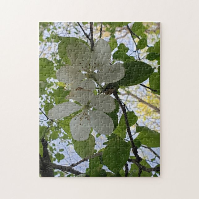 apple blossoms jigsaw puzzle (Vertical)