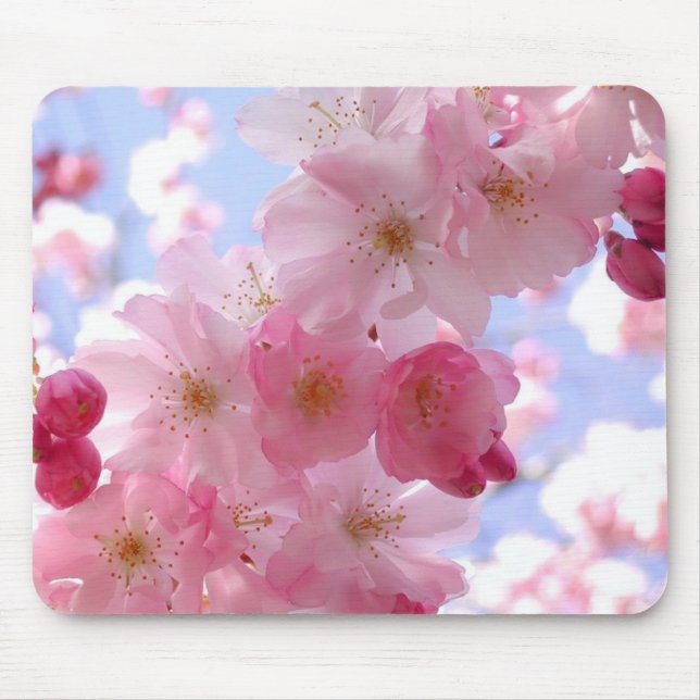 apple blossoms mouse pad (Front)