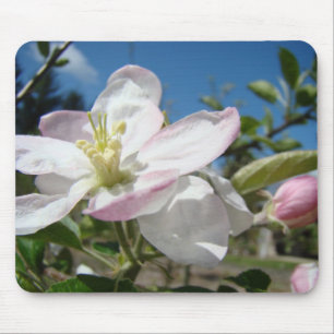 Apple BLOSSOMS MOUSEPADS Pink Blossoms Mousepad