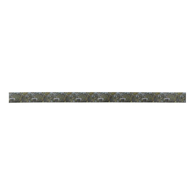 Apple Blossoms Satin Ribbon (Front)