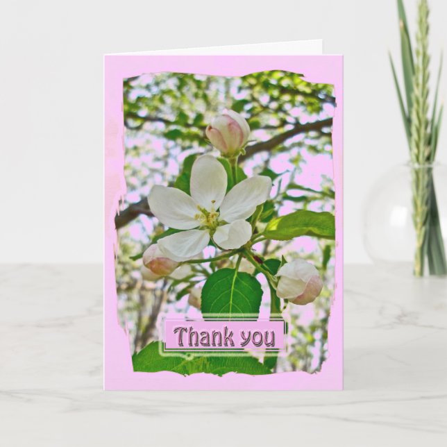 Apple Blossoms Thank You Card (Front)