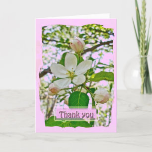 Apple Blossoms Thank You Card