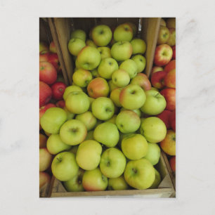 Apple Bundle Postcard