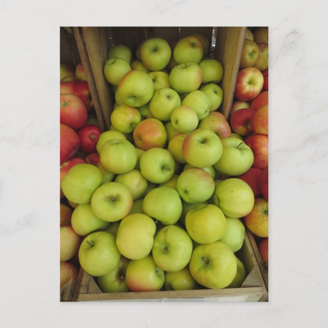 Apple Bundle Postcard (Front)