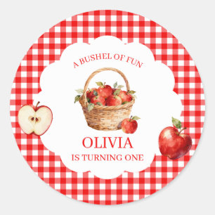 Apple Bushel of Fun 1st Birthday Invitation Classic Round Sticker