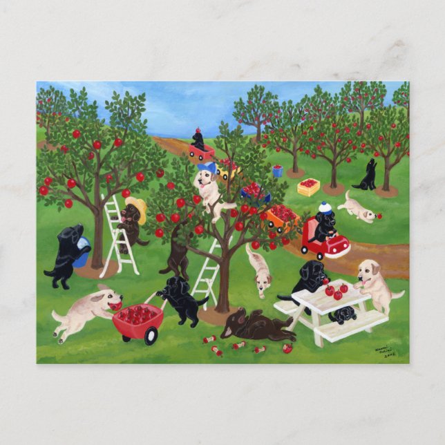 Apple Farm Labradors Postcard (Front)