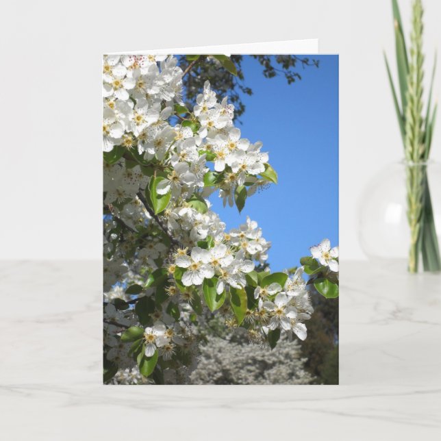 Apple fleurissent carte de voeux (Devant)