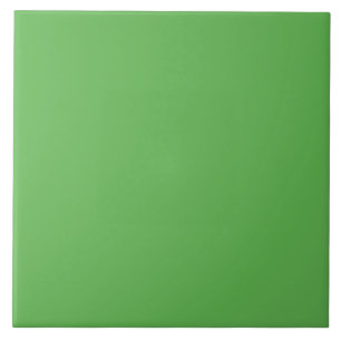 Apple Green Ceramic Tile. Tile