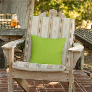Apple Green Outdoor Throw Pillow
