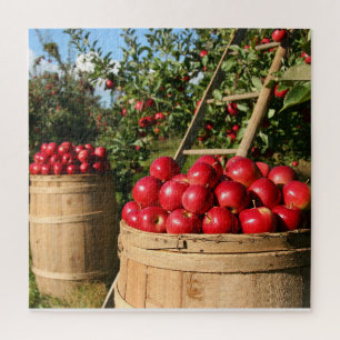 Apple Harvest Jigsaw Puzzle