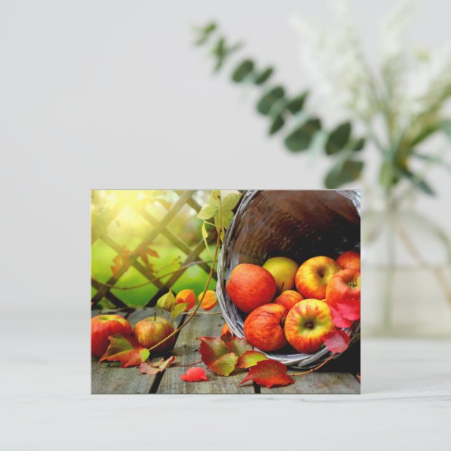 Apple Harvest Postcard (Standing Front)