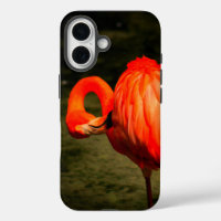 APPLE i PHONE CASE WITH A FLAMINGO DESIGN