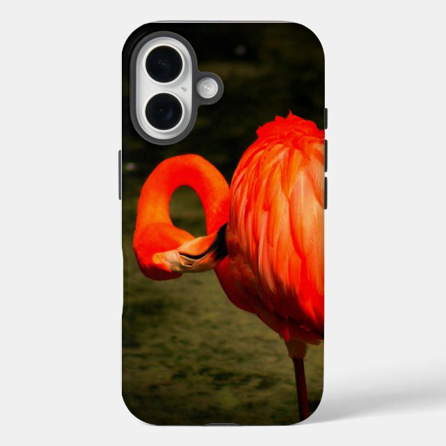 APPLE i PHONE CASE WITH A FLAMINGO DESIGN (Back)