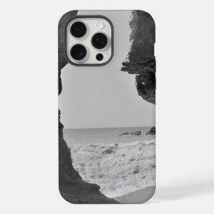 Apple iphone 15 promax pro max case