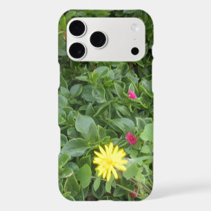APPLE iPHONE XS CASE ECO ART DESIGN