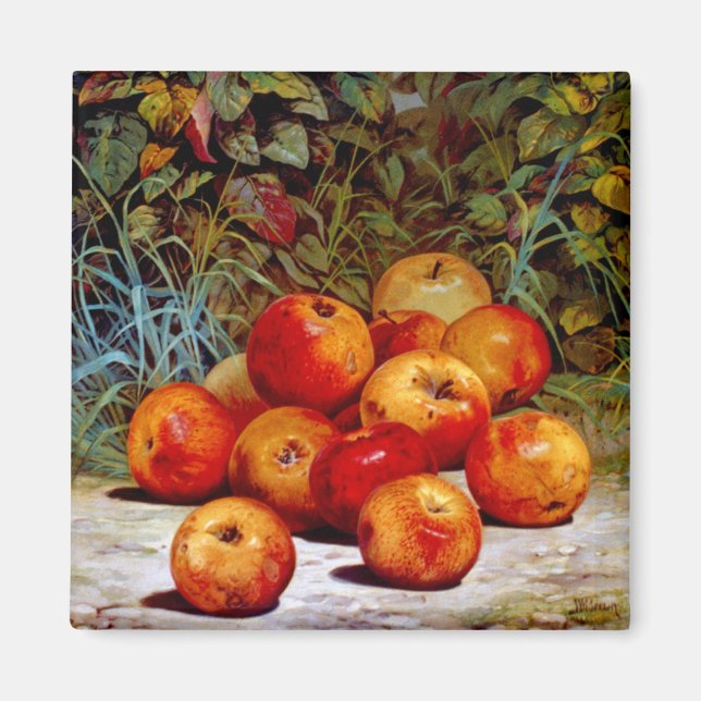 Apple Magnet (Front)