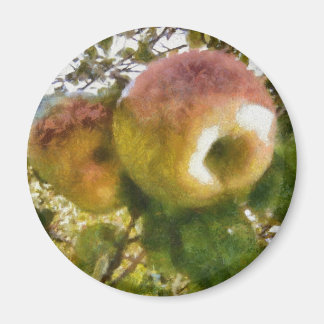 Apple Magnet