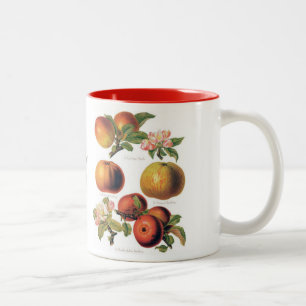 Apple Mug (You can customize)
