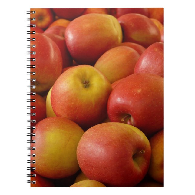Apple Notebook (Front)