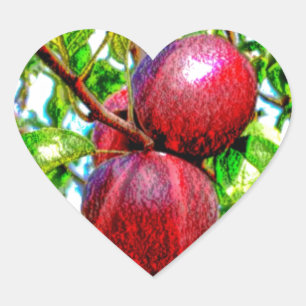 Apple Of My Eye Colour Drawing Heart Sticker