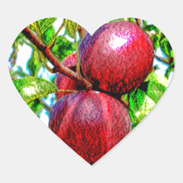 Apple Of My Eye Colour Drawing Heart Sticker (Front)