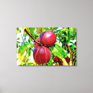 Apple of My Eye Drawing Artwork on Canvas Print