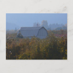 Apple Orchard Barn Postcard