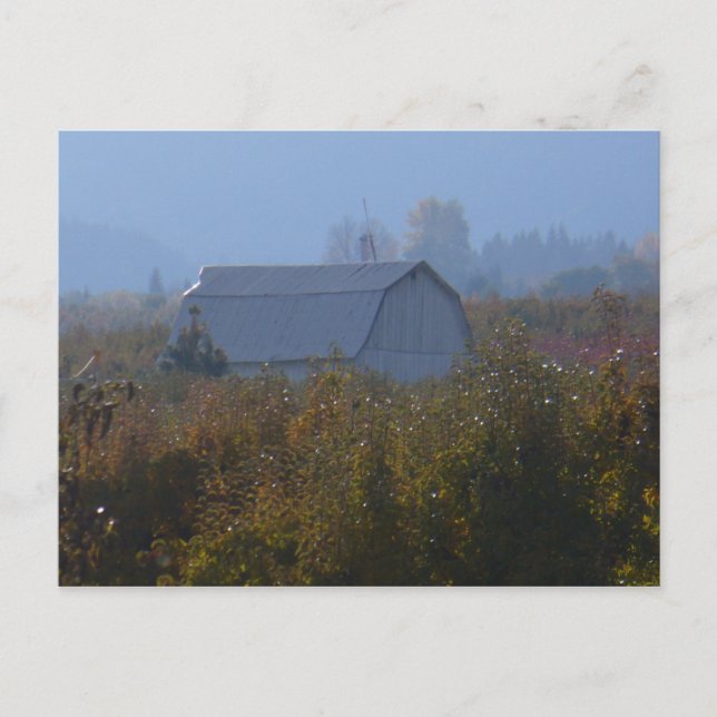 Apple Orchard Barn Postcard (Front)
