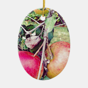 Apple Orchard Ceramic Ornament