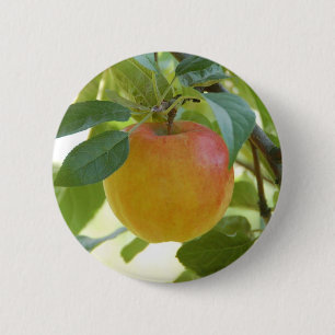 Apple Prima 2 Inch Round Button