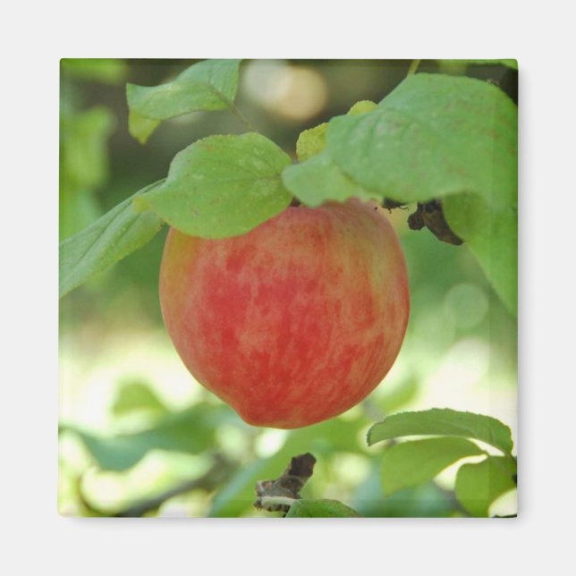 Apple Red Annanas - magnet (Front)