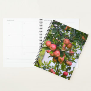 Apple Sauce Calendar Planner