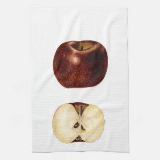 Apple Slice Kitchen Towel
