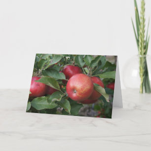 Apple sur la carte de voeux Arbre
