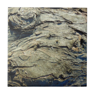 Apple Tree Bark Texture Tile