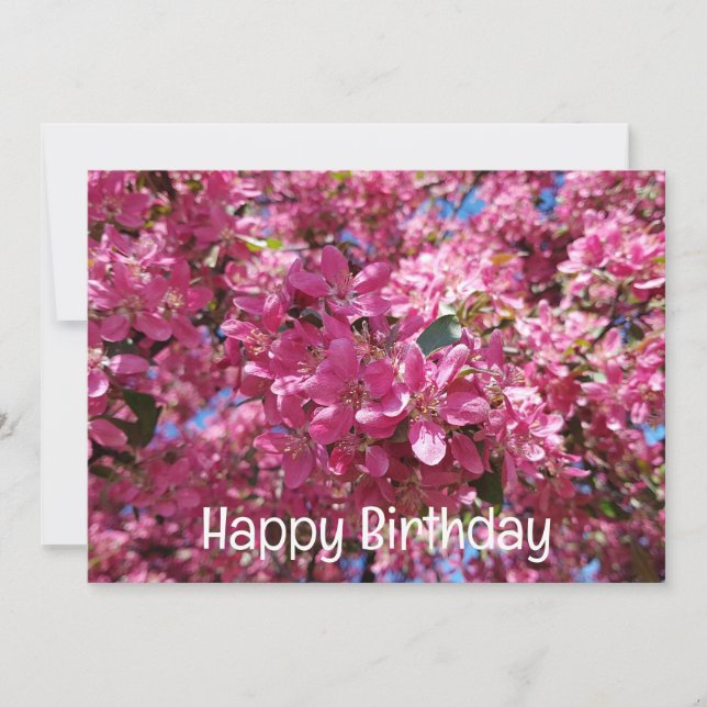Apple tree blooming. Pink flowers. Happy Birthday Holiday Card (Front)