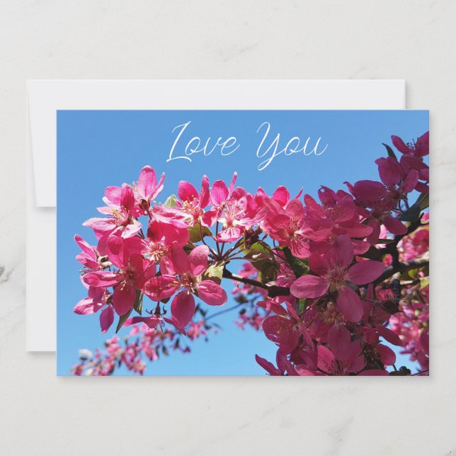 Apple tree blooming. Pink flowers. Love You Holiday Card (Front)