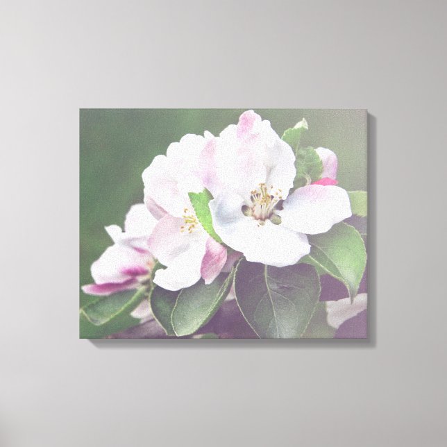 Apple Tree Blossom Spring Canvas Wall Art (Front)