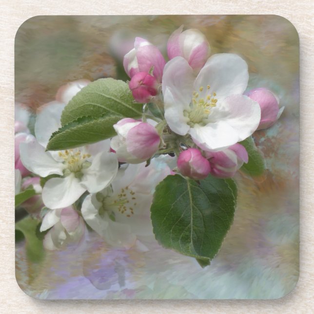 Apple Tree Blossoms Coaster (Front)
