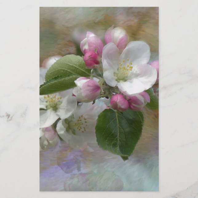 Apple Tree Blossoms Stationery (Front)