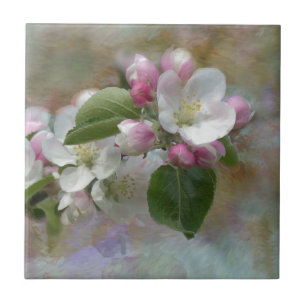 Apple Tree Blossoms Tile