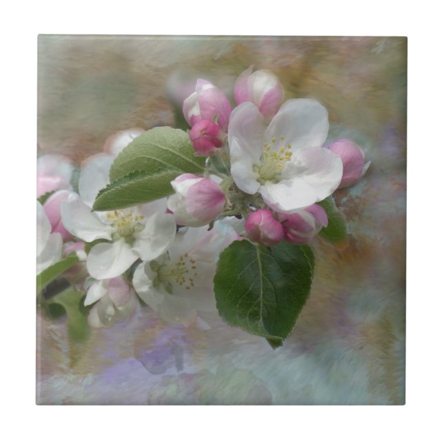 Apple Tree Blossoms Tile (Front)